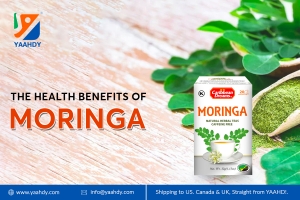 The Health Benefits of Moringa